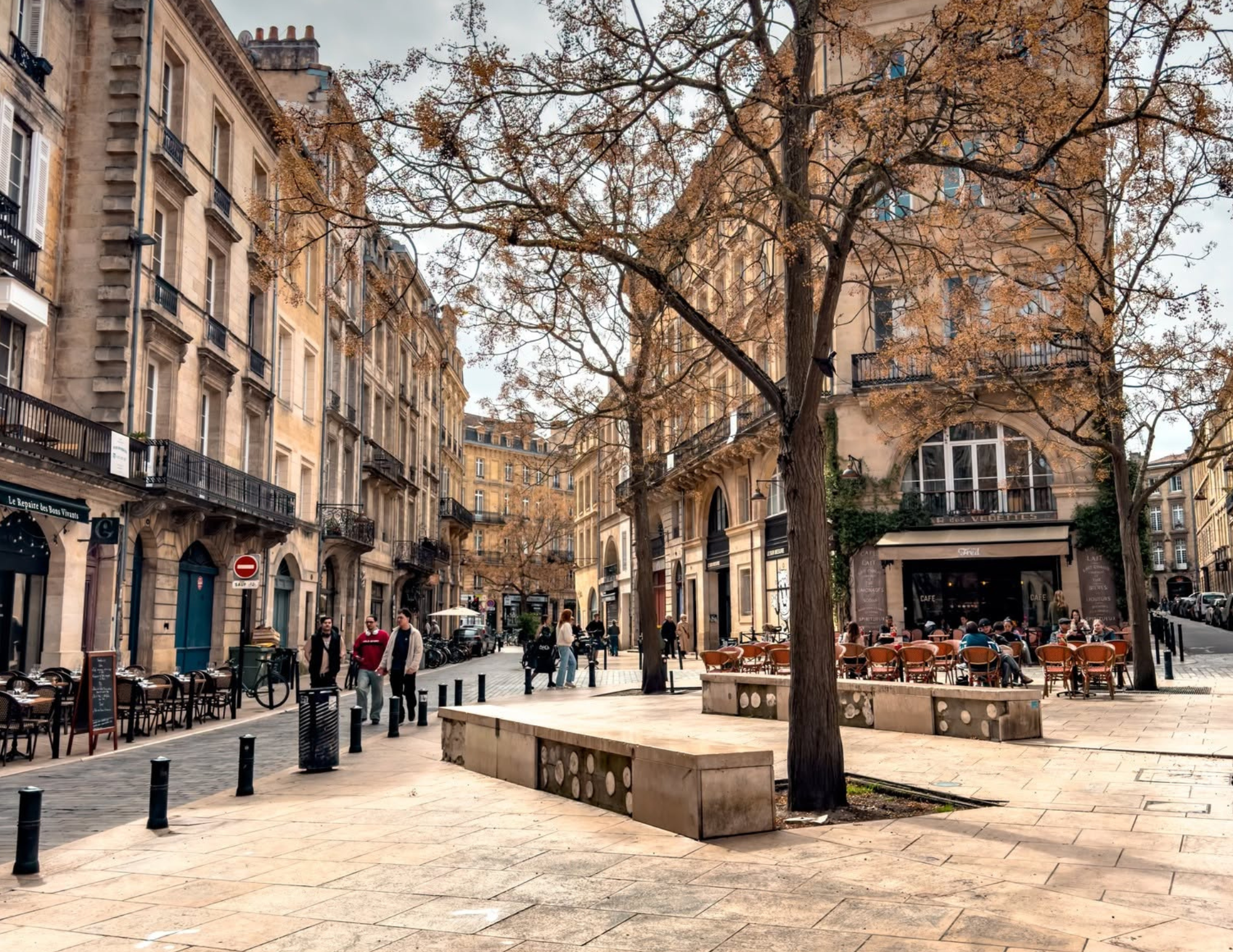 Bordeaux Travel Guide-2.png